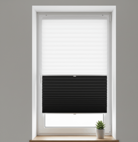 Berkpen tüm Trakya'da