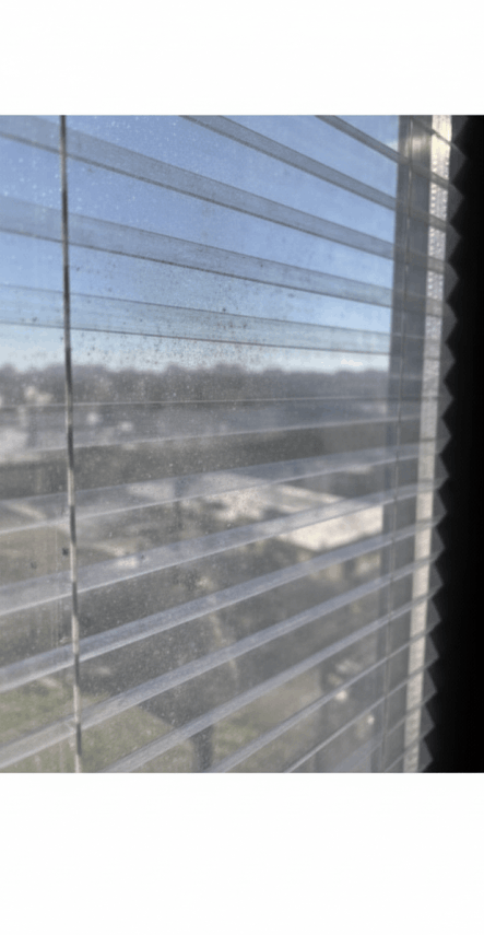 Berkpen tüm Trakya'da